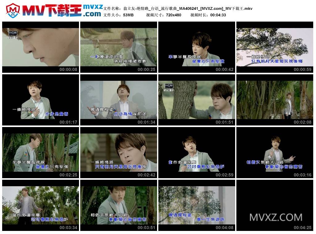 翁立友-绝情路_台语_流行歌曲_MA406241